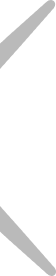 left wing